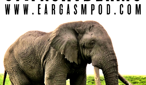 037: Pachyderms