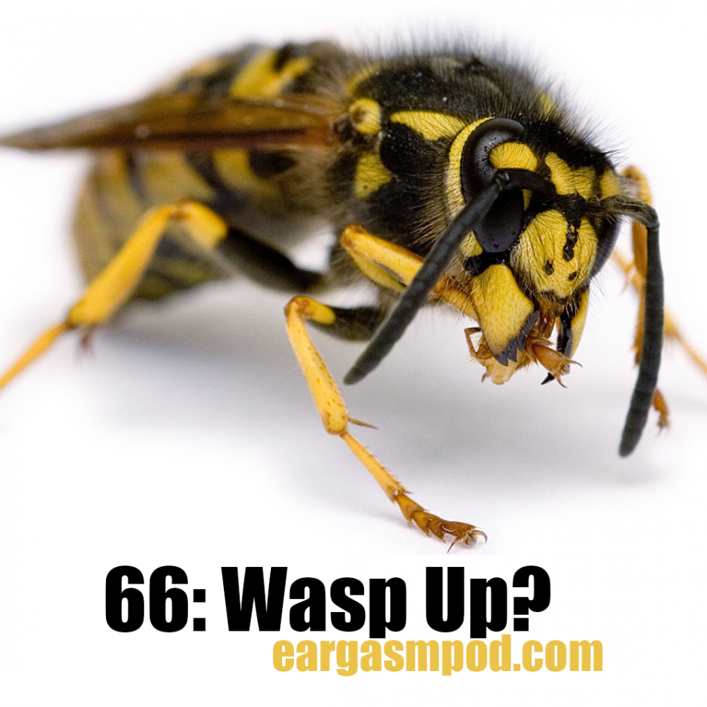 066: Wasp Up?